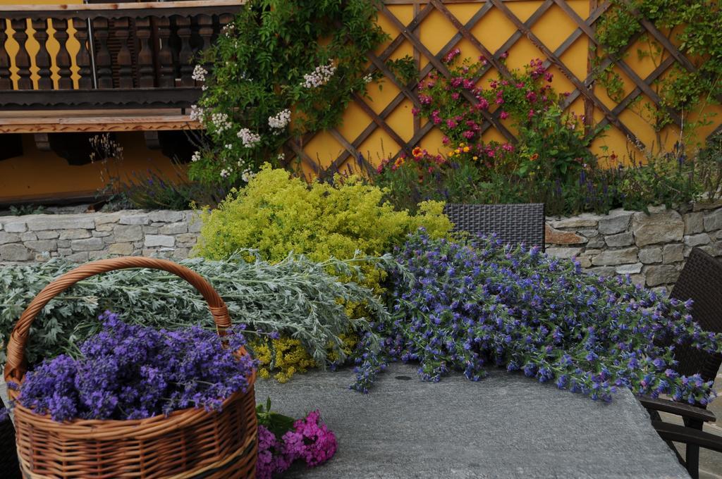 Sulamith Ferienhaus Mit Garten Sankt Kathrein am Offenegg Exterior photo