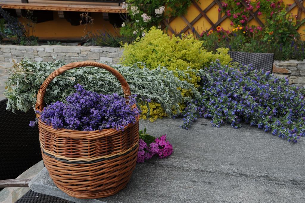 Sulamith Ferienhaus Mit Garten Sankt Kathrein am Offenegg Exterior photo